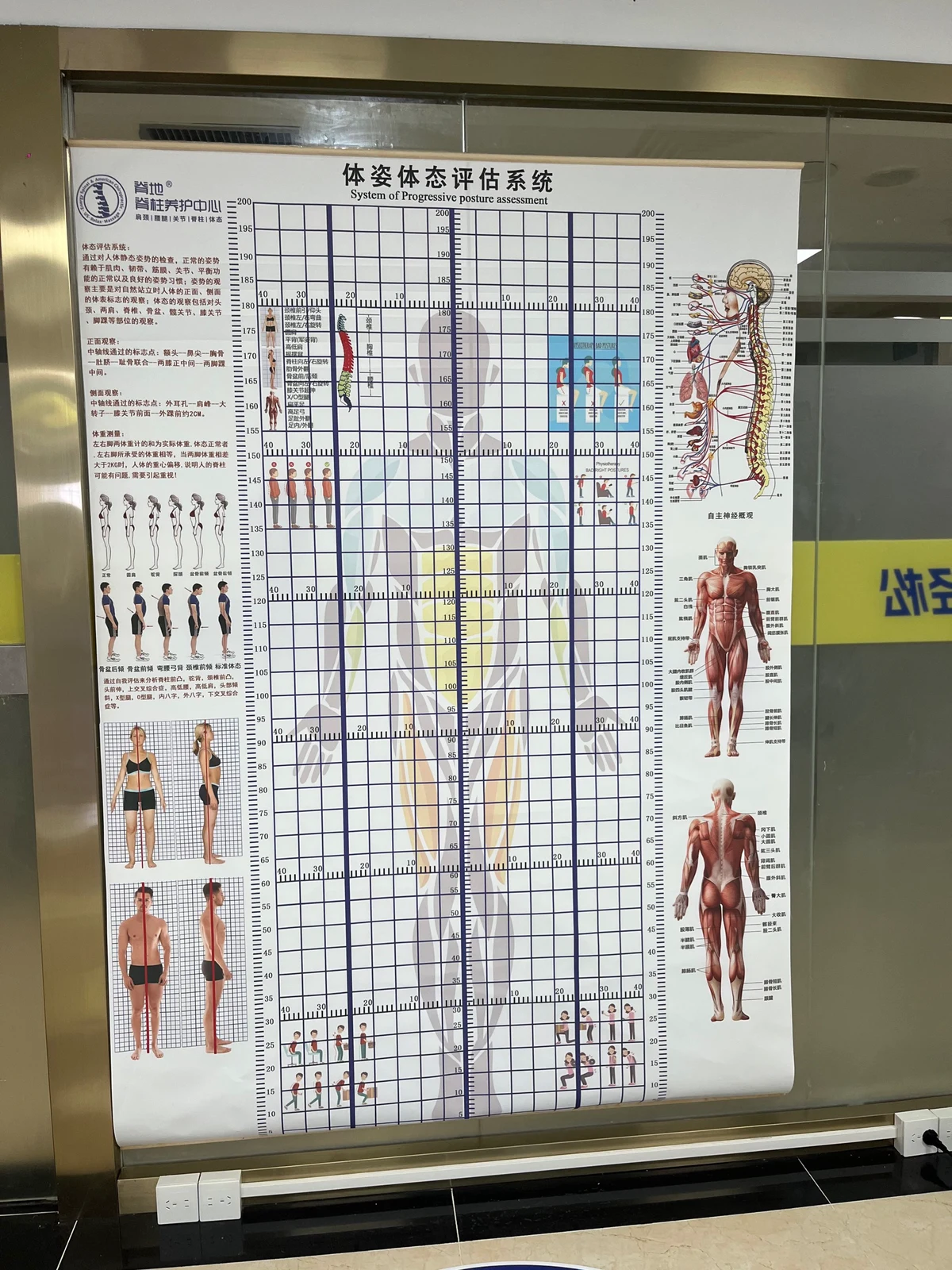 篮球小学生基本功训练教学反思怎么写_1